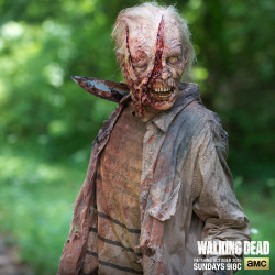 thewalkingdead:    Gnarly.   