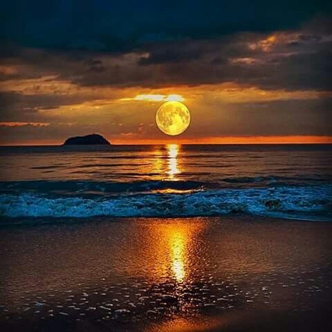 Landscape World