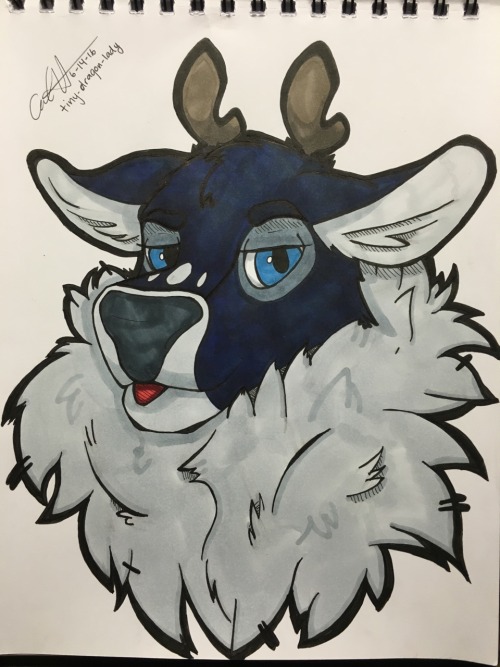tiny-dragon-lady:  Some fan art for my favorite gay deer boy, Sven at @notsafeforhoofs  Hope you don’t mind the colors are a little off I only have so many markers. Hope you like it!!!  Woah this came out awesome. Always sweet to see traditional work,it&r