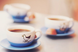 cinnahearts:  Three coffees (by Nina's Clicks)      