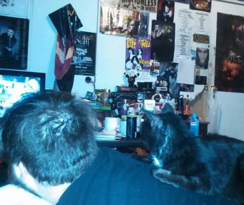 Boo rather likes #ffxvFor some reason.#boosagrimm #cat #blackcat #wtfamidoing