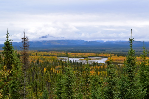 Dempster Highway 