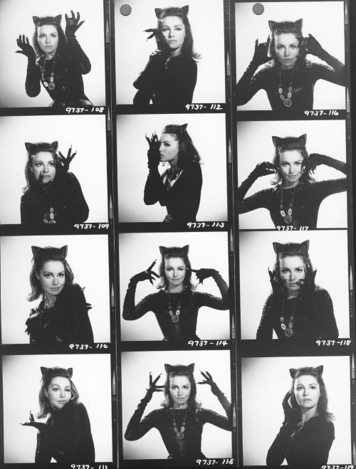 XXX retrogirly:  Julie Newmar as Catwoman  photo