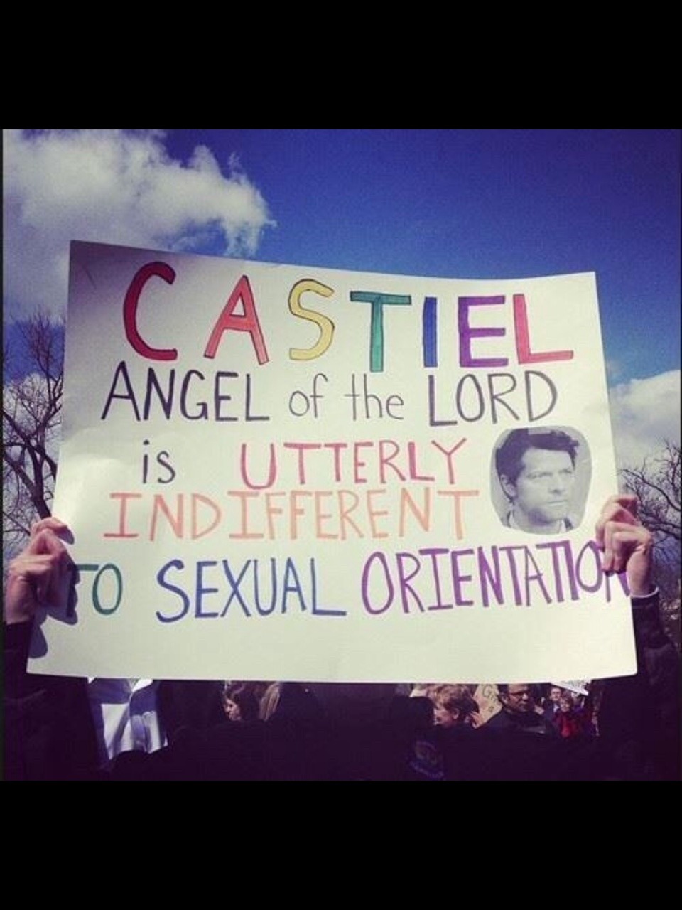 branmuffin22:These are my favourite marriage equality signs