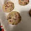 fatfurfeeder