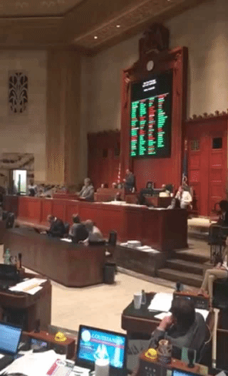 the-movemnt: Louisiana House passes bill banning the removal of Confederate statues,