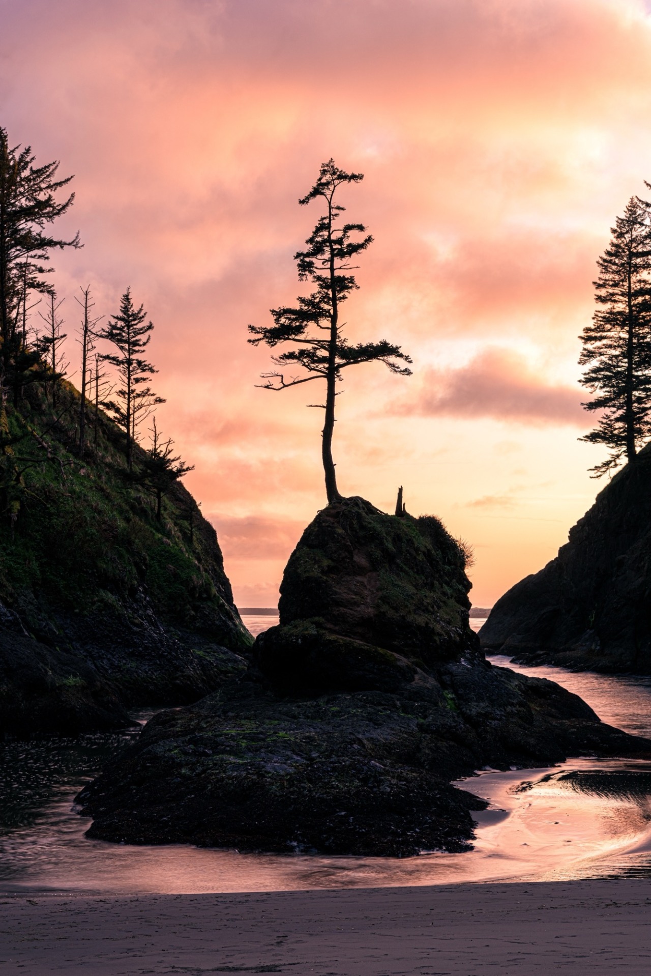 [OC] “Dying Light” Washington, USA - 4002x5997 📷: MicahDickinson #Nature#mothernature#beach#sunset#landscape#sunrise#animal#animals#naturephotography