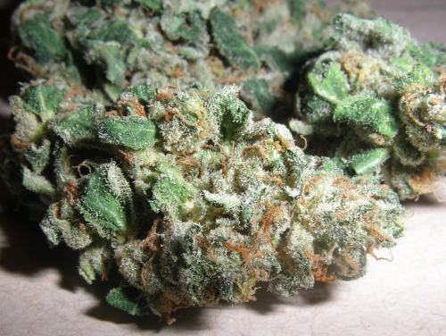 darthweeder420:  Northern Lights