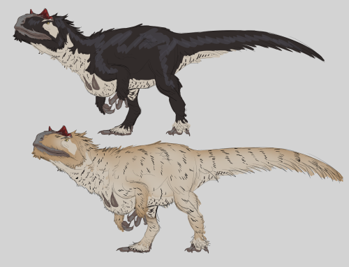 RILAWORLD AU REDESIGNS