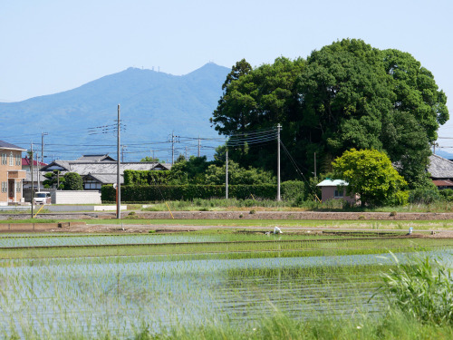  2022年5月29日13:47