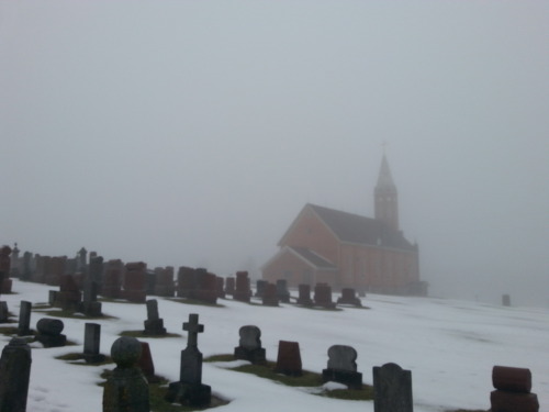 the13thraven:Today was such a delightfully gloomy day, perfect for a morning stroll through the cemetery.