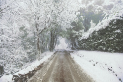 rainbowsnowlight:  Winter