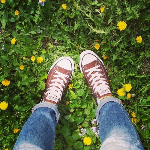 SPRING CHILL &amp; CONVERSE