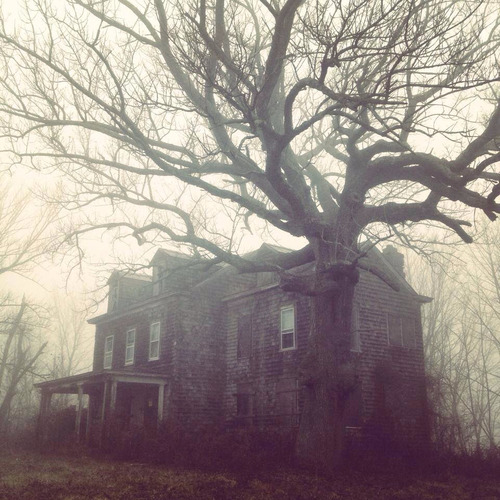 moon-sylph:  ☽ ⁎ ˚ * ☀ Mystique, autumn, nature ✵ ⁎ * ☾ 