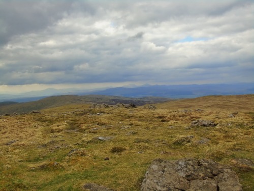 Hill walk in the Ochils from Tillicoultry. The last of my pics from Sinday, and after a steep walk w