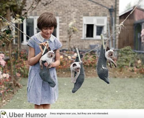 omg-pictures:  I Colorized an image taken in 1931 of a girl and her kittenshttp://omg-pictures.tumblr.com