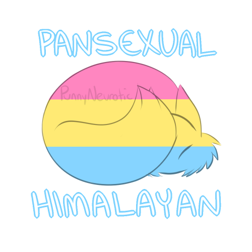 punnyneurotic:Sleep Equality Kitties!!DO NOT REPOST OR EDIT WITHOUT PERMISSION!More cats: