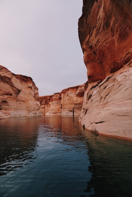 laurelryser:  Lake Powell porn pictures