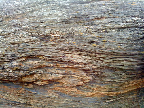 chondritic:jasjabberwocky:Outcrop of the Haast Schist at Brighton beach, DunedinWowwwwww I lov