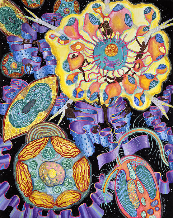 staceythinx:  Biologically inspired work by Shoshanah Dubiner 