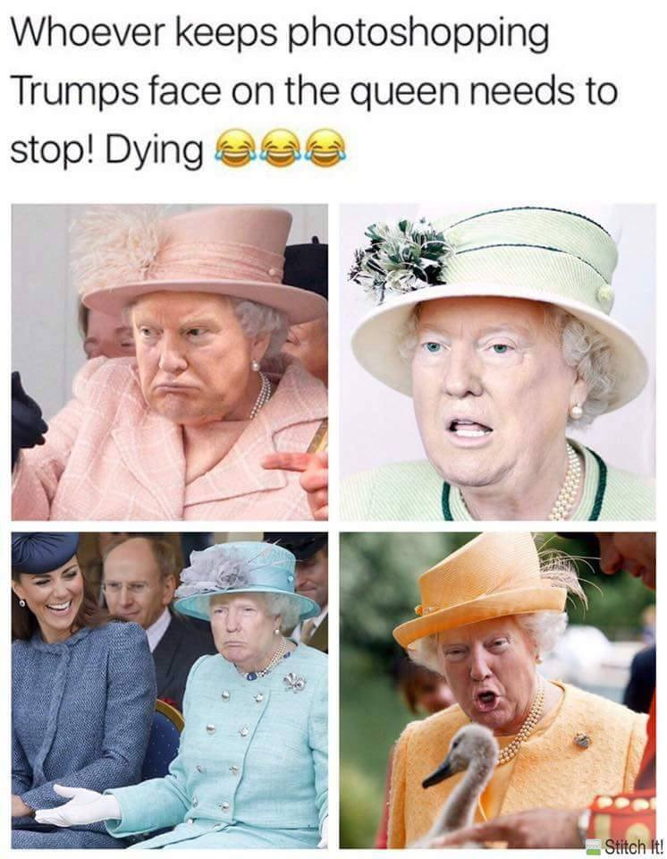 universeofmemes:    Oh my god this is perfext  
