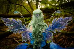 imnorsingaround:  mustangbratt:  oliviatheelf:  Forest Wings by La Fae SanPosted by: Elves🌛Fairies🍄Forest🌎DO NOT REMOVE THE TEXT OR SOURCES!     missharpersworld submissivebabygirl91 imnorsingaround  Oooooh! Magic!