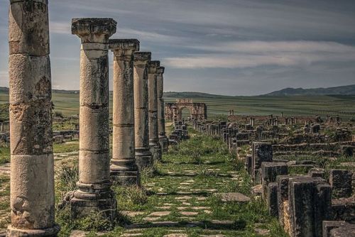 historyfilia:Tingis gate and Decumanus Maximus, Volubilis (Morocco)