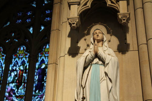 echiromani:Our Lady of Lourdes in the Cathedral of Arundel