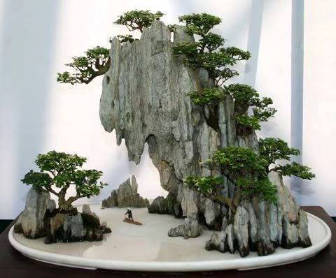 Inspiring: Bonsai
Fantastic Landscape by Kuanghua Hsiao
You can watch more of these breathtaking Bonsai-Art here