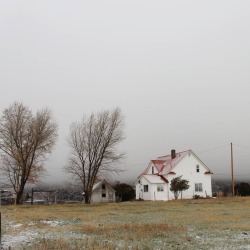 oldfarmhouse:  The fog rolls along the mountains, surrounding but not engulfing me. Our little farmhouse sits on a gentle hill. It looks peaceful and still, a sanctuary from the world.    thefairviewfarmhouse