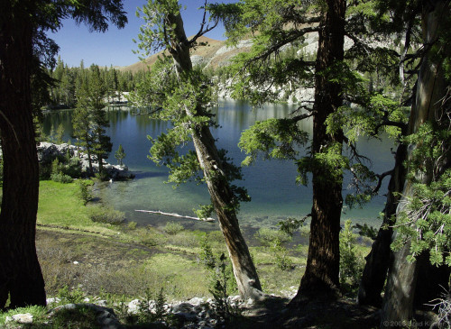 philotheoristic:Mammoth Lakes, between Lake Mary &amp; Duck Lake - a few hours from the trail he