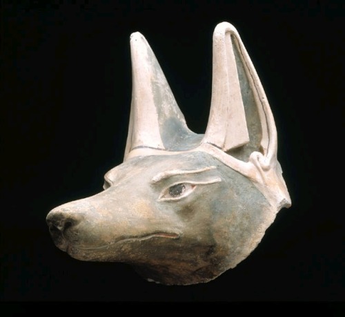 egypt-museum:Head of AnubisMummy trappings: Anubis mask, fromTuna el-Gebel. Late Period to Ptolemaic