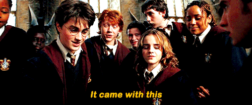 potterwatch:#baby’s first Firebolt