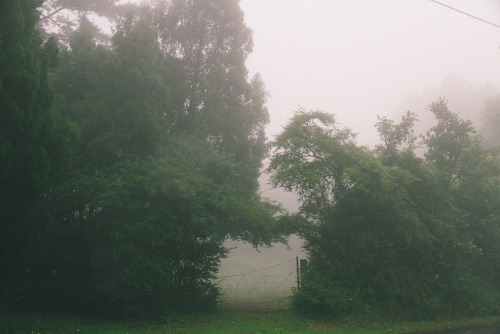Fog Chase Pt. 2 by Benjamin Charlie Andrew. on Flickr.