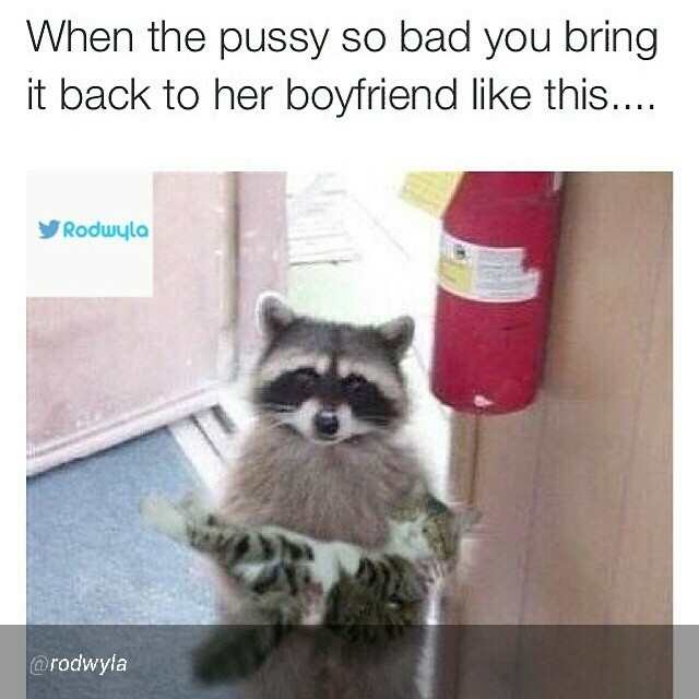 #repost#take_your_pussycat_back