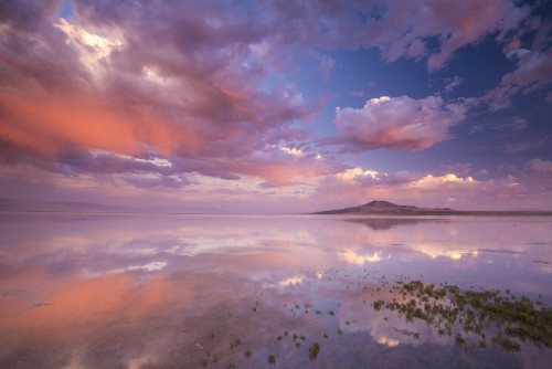 expressions-of-nature:  Great Salt Lake, Utah by Chad Barton