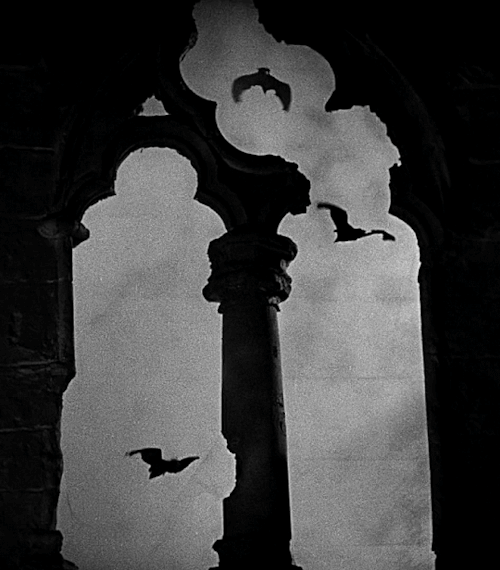 starrywisdomsect:Dracula (1931) directed by Tod Browning, starring Bela Lugosi.