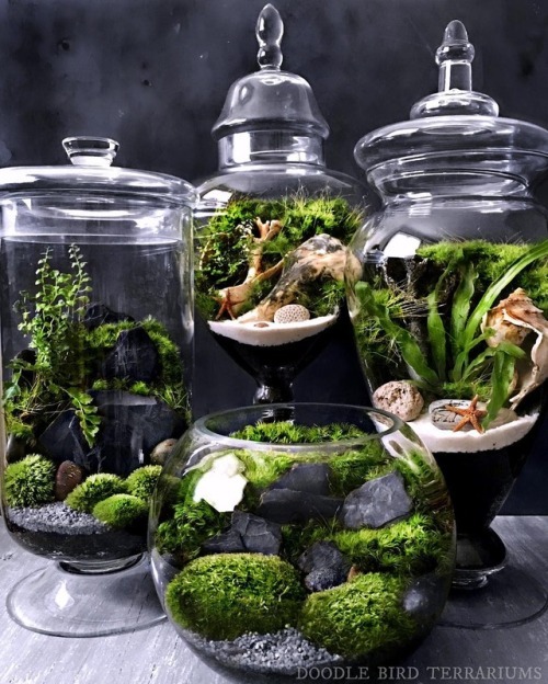 Lush Live Moss Terrariums Fulfill Your Longing for NatureFor those moments you wish you were surroun