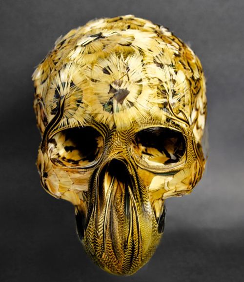 myampgoesto11:  Feather skulls by Laurence Le Constant part of the ‘My Lovely Bones’ series. Images courtesy of Galerie Géraldine Banier My Amp Goes To 11: Twitter | Instagram 