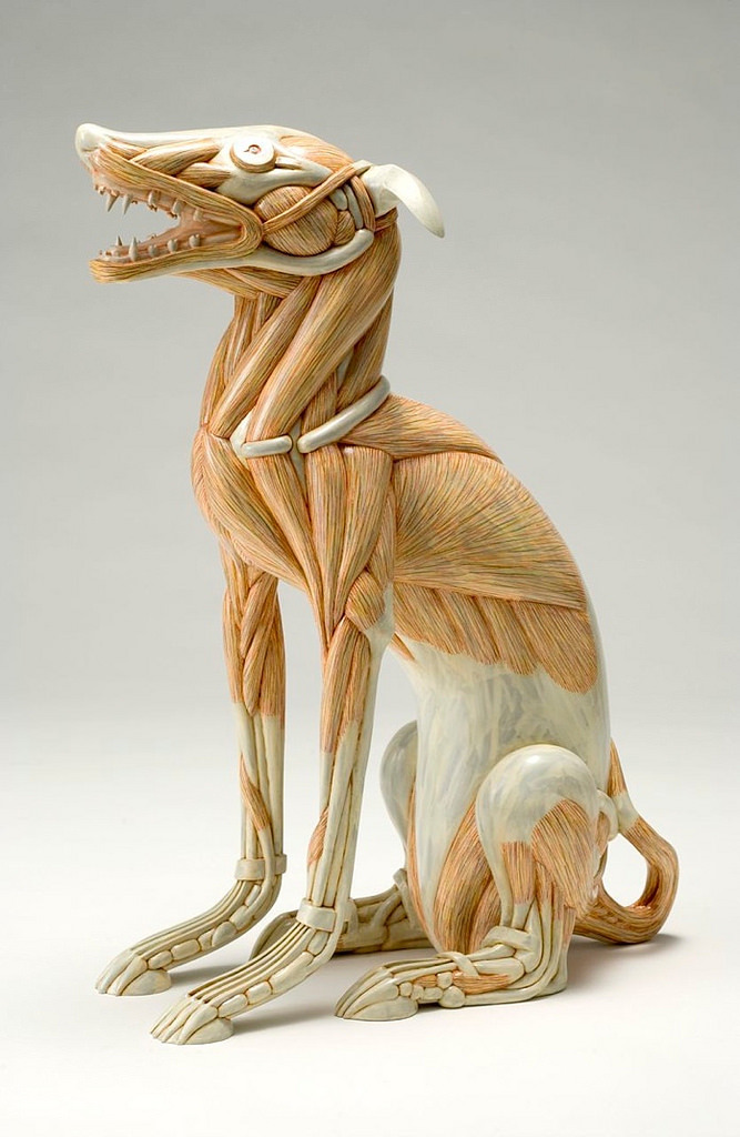 gdfalksen:  via Masao Kinoshita’s Sculptures Play With Exaggerated Anatomy | Hi-Fructose