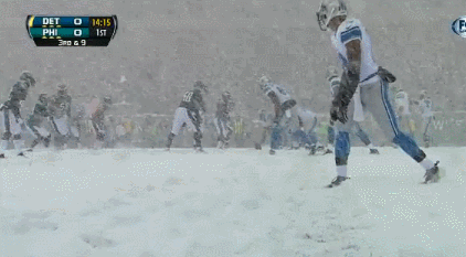iwantyoualive:  the most epic NFL game ever   Go lions