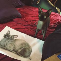 katvondunlimited:    Help! Just finished going through fanmail, and opened this BEAUTIFUL drawing a talented someone drew of my beloved, Piaf! I wanted to properly thank the artist, but I couldn’t make out the signature? #piaf [July 8th, 2015]Thank