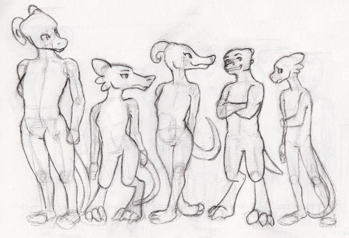 opashoo:I’m a total nerd. I made size-body type references for all my kobolds. This is how I practice my anatomy. I tried to make poses reflective of personalities and all that jazz. Osna’s supposed to be kind of a giant and Vjara’s the shortest