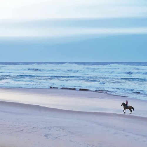 muetc:  Evening ride | Promenade du soir (Brittany - France)  . Prints and Book | Instagram | Facebo