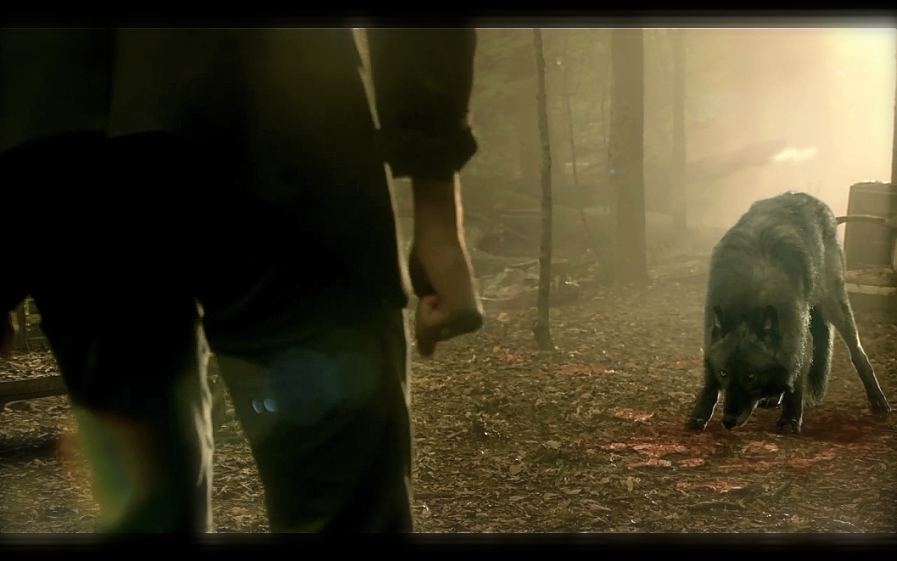 wildprairiewitch:   Hemlock Grove  