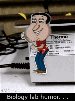For Animated Gifs