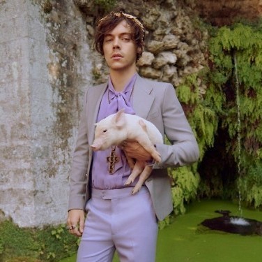 aslongasitsrealtoyou: Aethetic: Harry Styles - Gucci