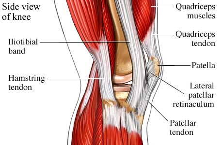 A delicious fuck-ton of human knee references. Yeah, just a quick mention of one of the above images