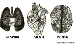 lupapoetica:Los sentimientos también están