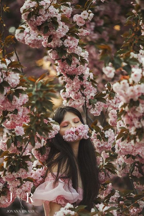  Spring Dream by Jovana Rikalo